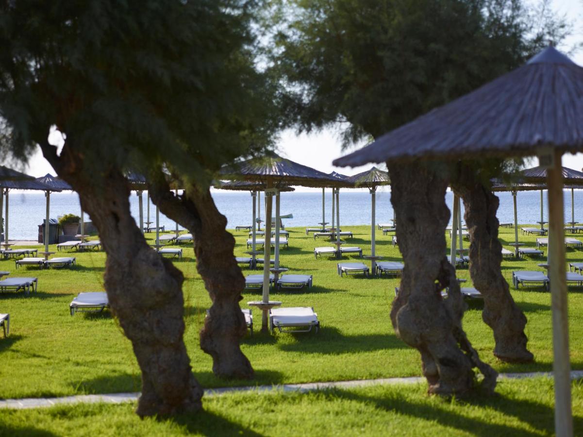 Apollo Beach Φαληράκι Εξωτερικό φωτογραφία