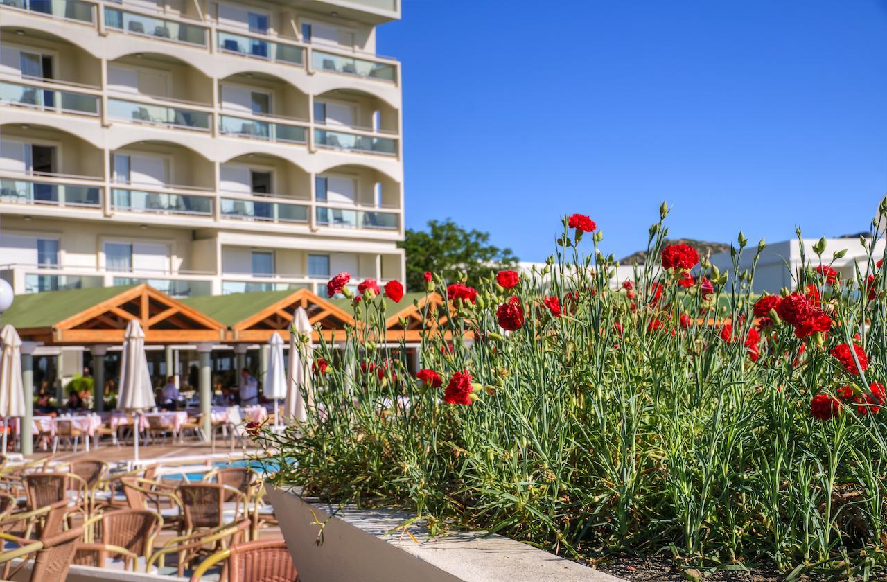 Apollo Beach Φαληράκι Εξωτερικό φωτογραφία